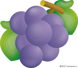 水果圖鑒 從果樹(shù)到餐桌的繽紛世界